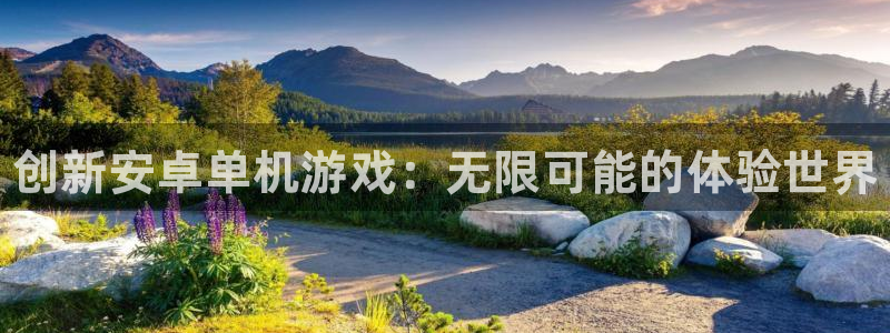 天美娱乐官方登录网址：创新安卓单机游戏：无限可能的体验世界