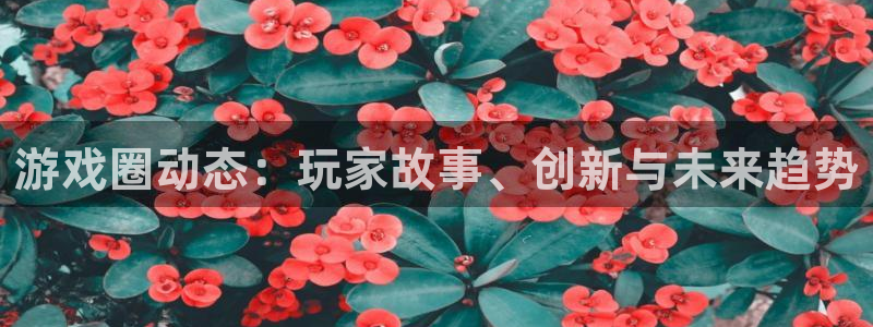 天美娱乐登陆地址：游戏圈动态：玩家故事、创新与未来趋势
