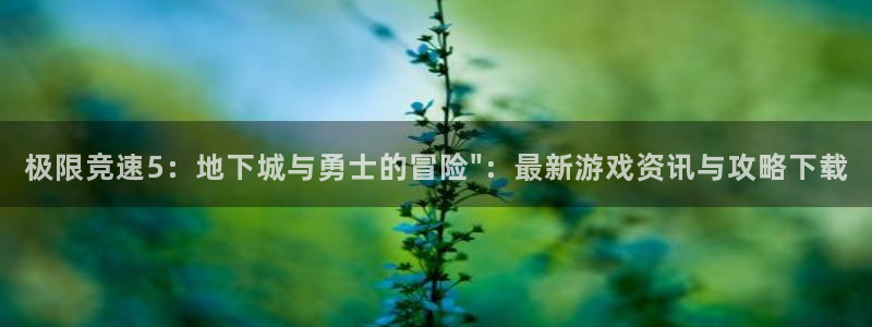 天美娱乐咨询：极限竞速5：地下城与勇士的冒险\