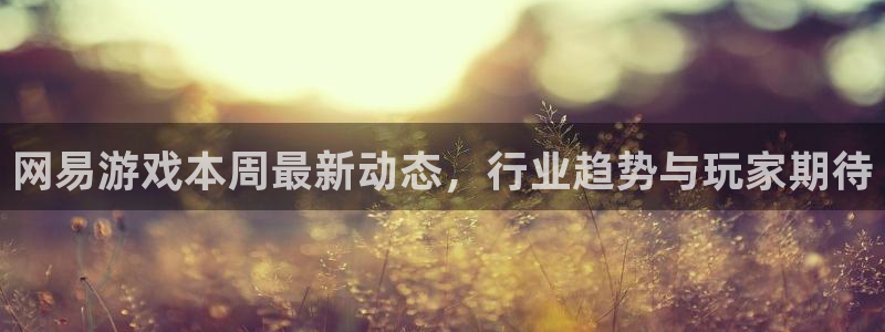 手机天美娱乐下载安装：网易游戏本周最新动态，行业趋势与玩家期